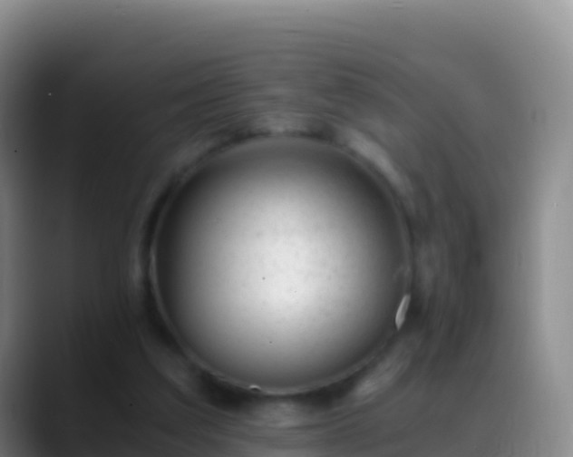 X0000088910203200706151912