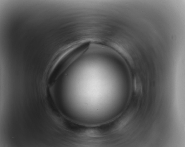 X0000088910204200706151912