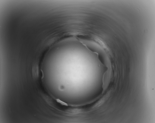 X0000088910205200706151912