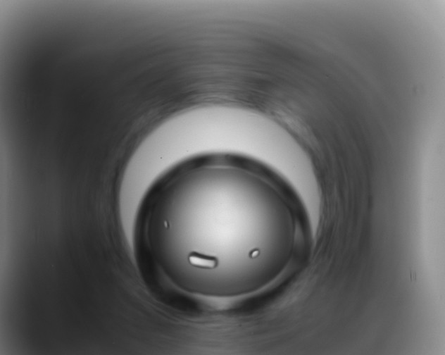 X0000088910207200706151912