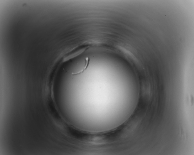 X0000088910208200706151912