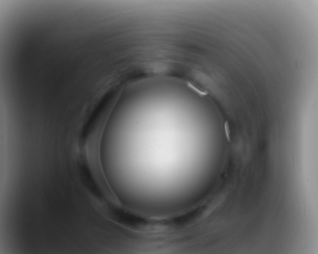 X0000088910209200706151912