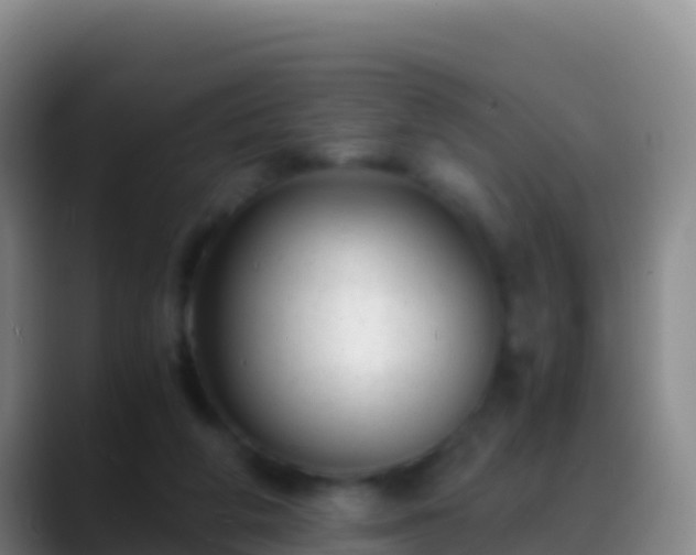 X0000088910210200706151912