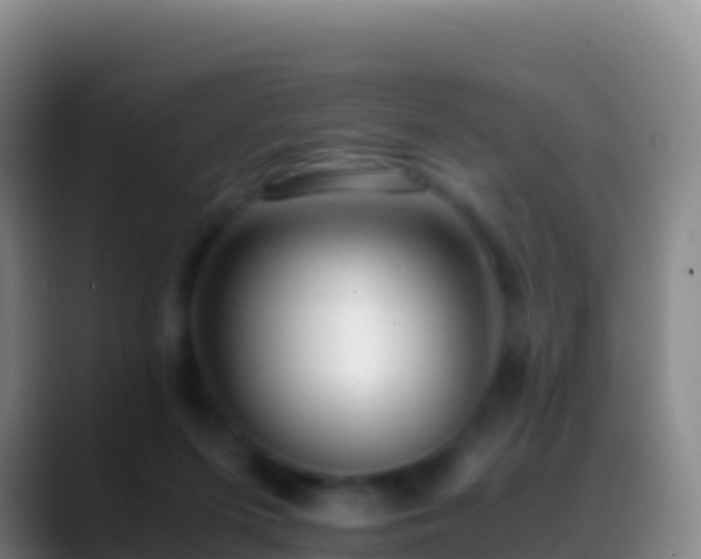 X0000088910215200706151912