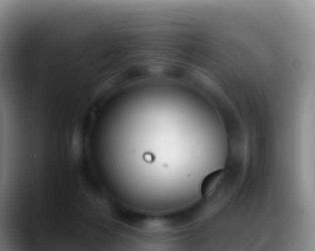 X0000088910216200706151912