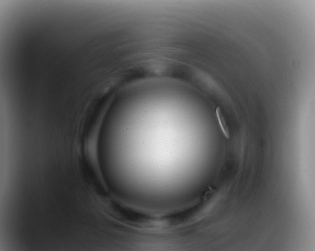 X0000088910217200706151912