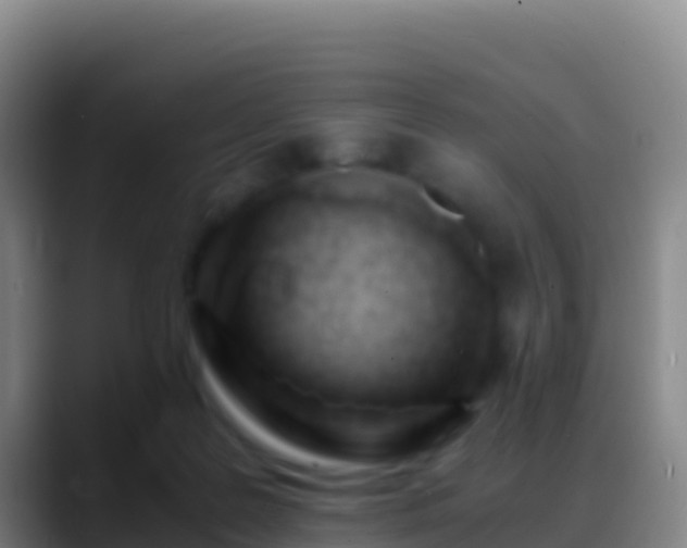 X0000088910219200706151912