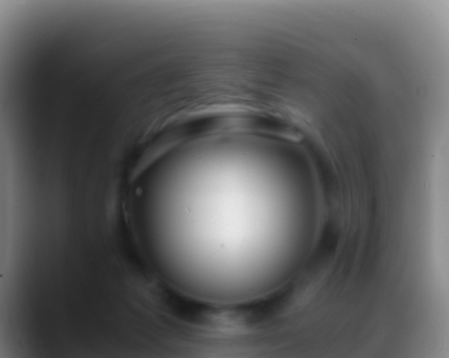 X0000088910221200706151912