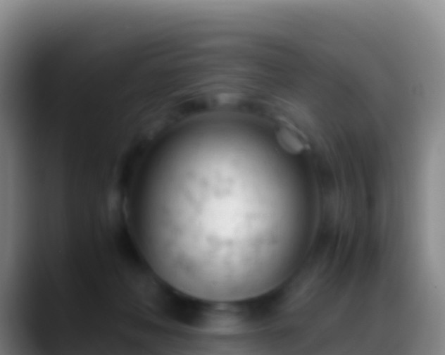 X0000088910222200706151912