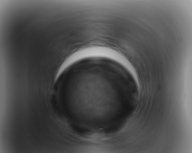 X0000088910223200706151912