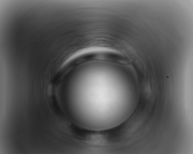 X0000088910224200706151912
