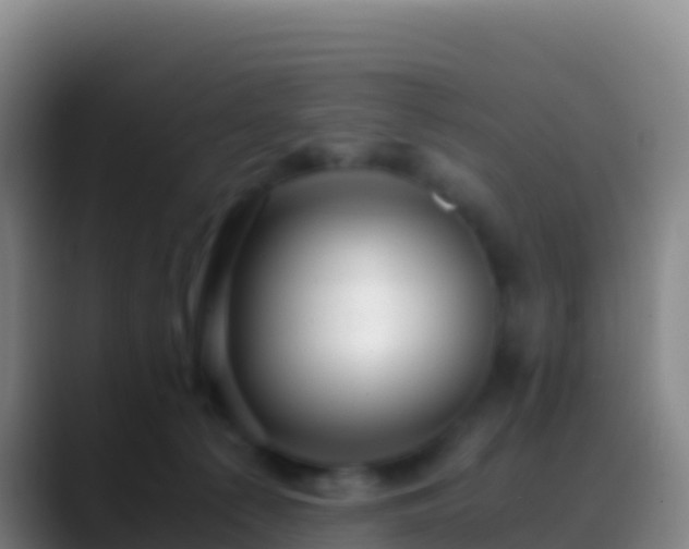 X0000088910225200706151912
