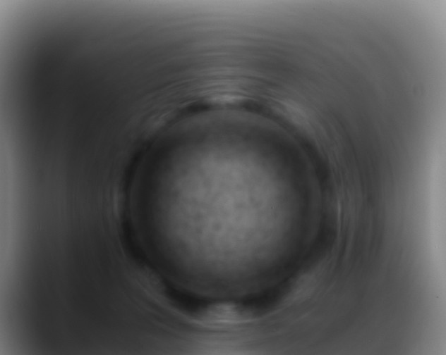 X0000088910227200706151912