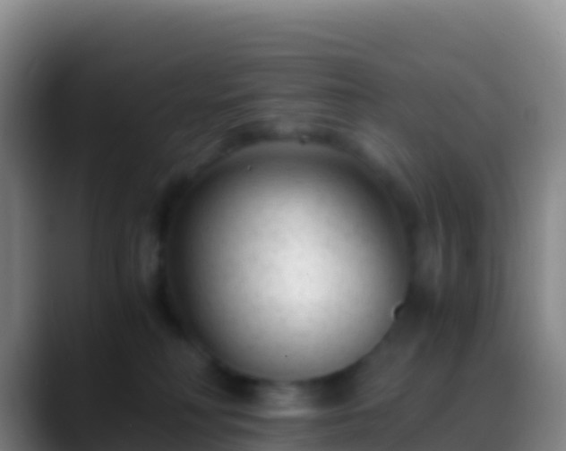 X0000088910230200706151912