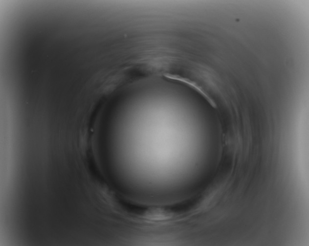 X0000088910231200706151912