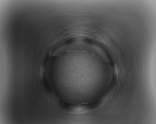 X0000088910235200706151912