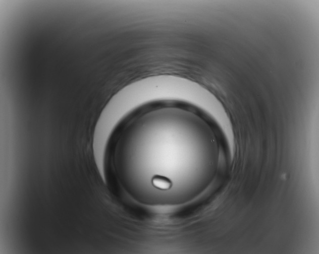 X0000088910237200706151912