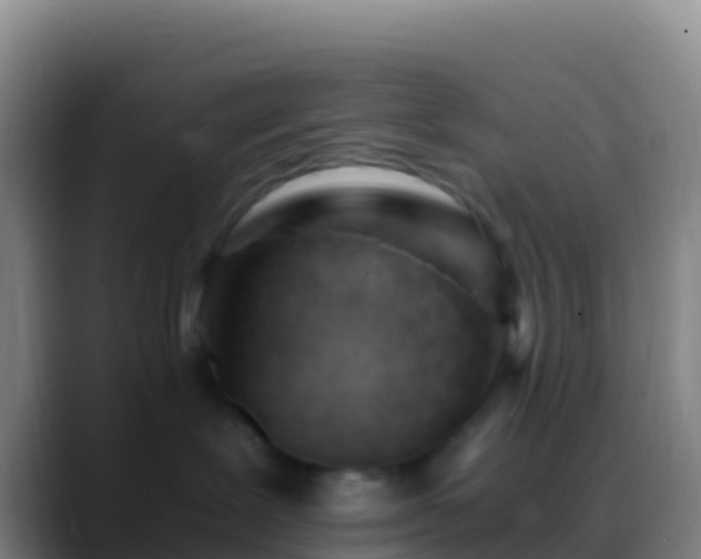 X0000088910239200706151912