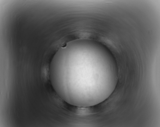 X0000088910240200706151912