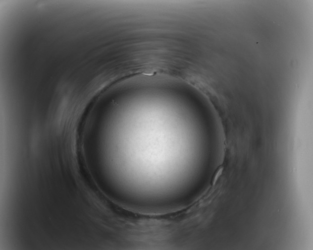 X0000088910242200706151911