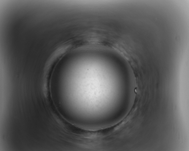 X0000088910245200706151911
