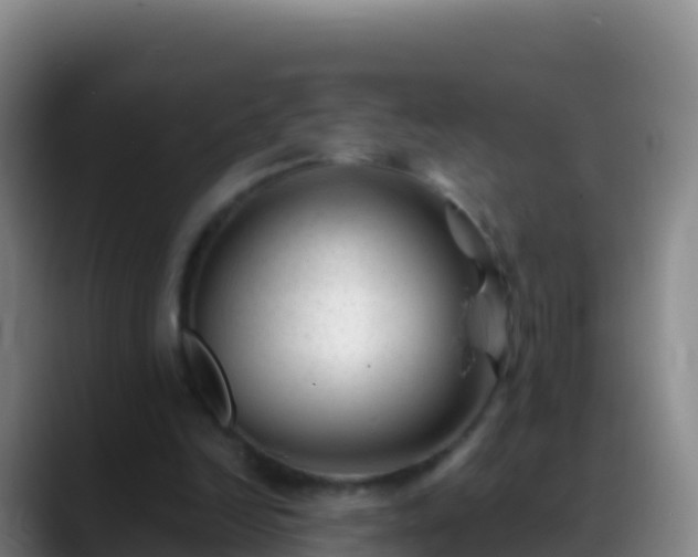 X0000088910246200706151911