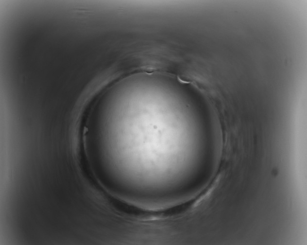 X0000088910247200706151911
