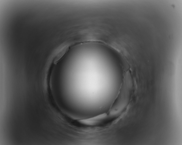 X0000088910248200706151911