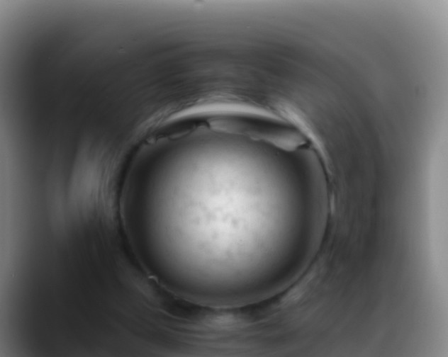 X0000088910249200706151911