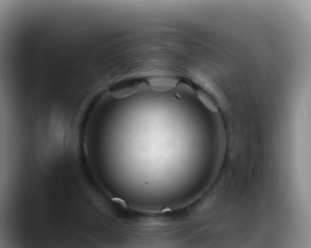 X0000088910250200706151911