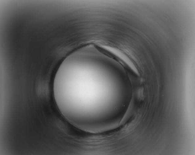 X0000088910252200706151911