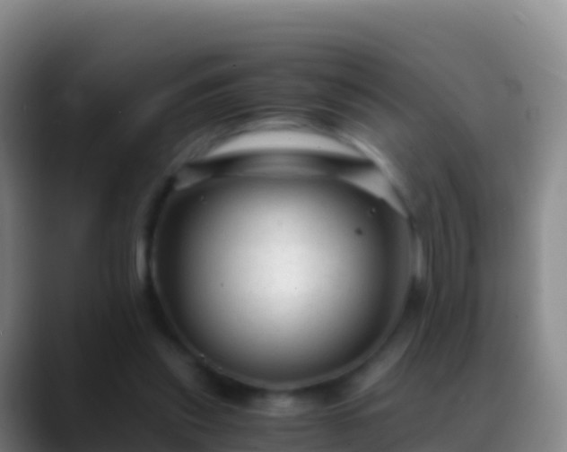 X0000088910253200706151911