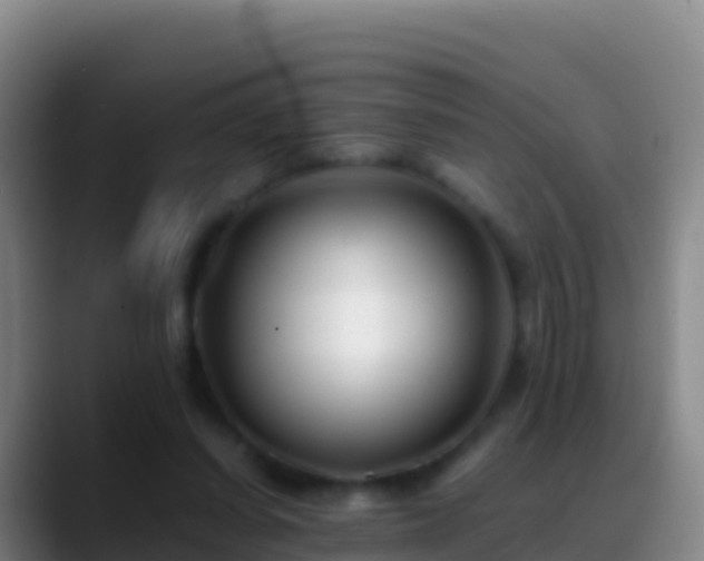X0000088910254200706151911