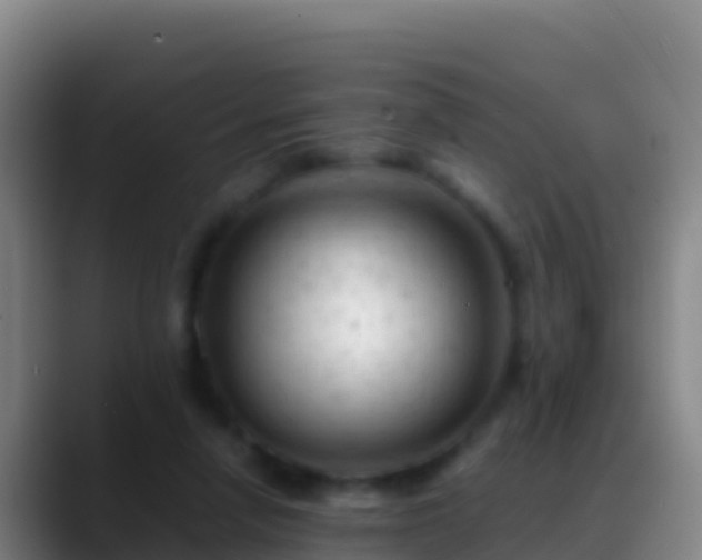 X0000088910258200706151911