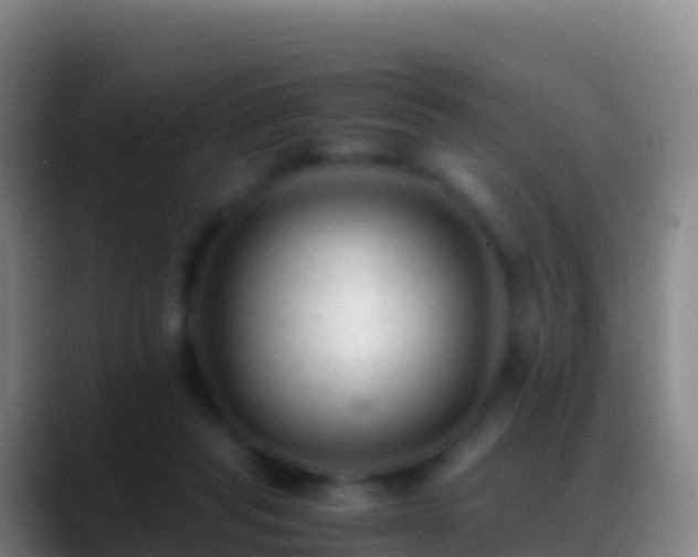 X0000088910261200706151911