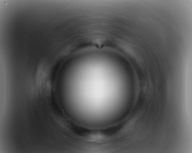X0000088910262200706151911