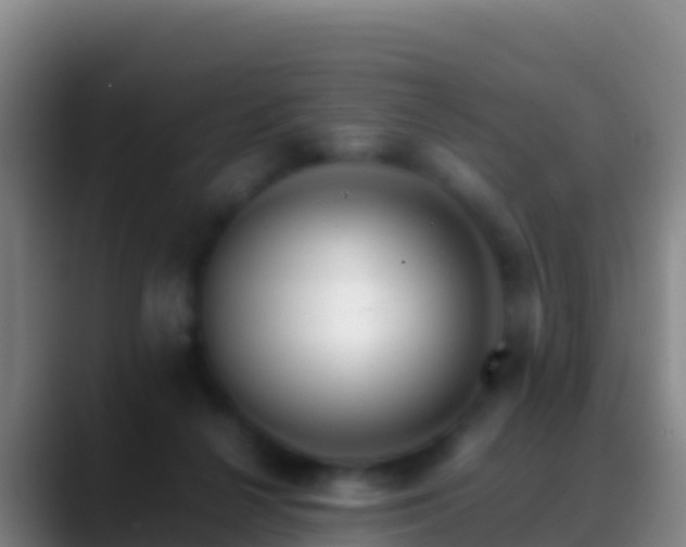 X0000088910264200706151911