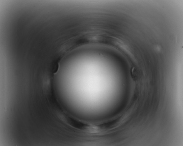 X0000088910265200706151911