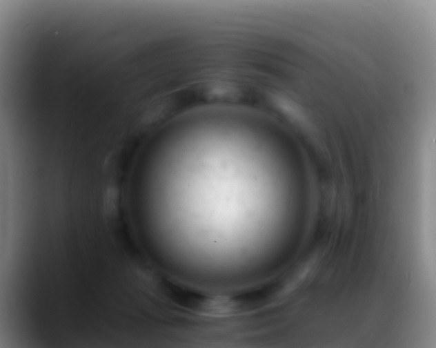 X0000088910269200706151911