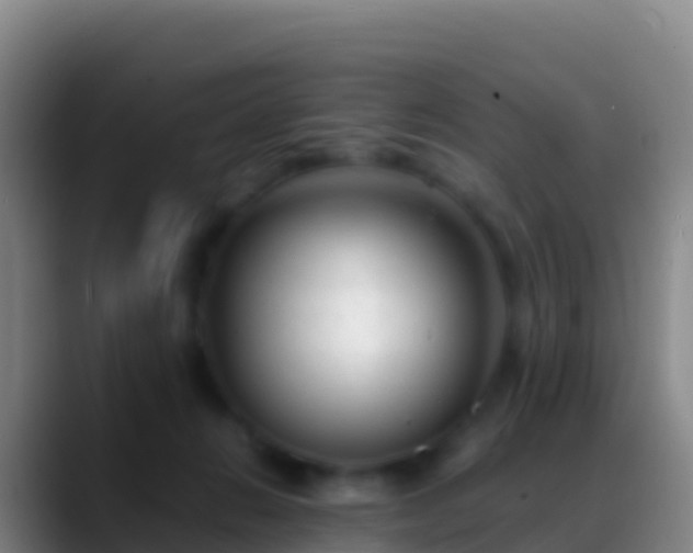 X0000088910270200706151911