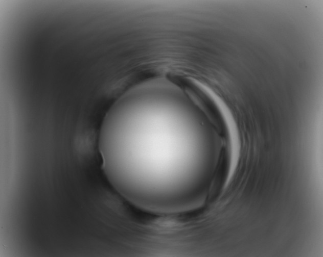 X0000088910280200706151911