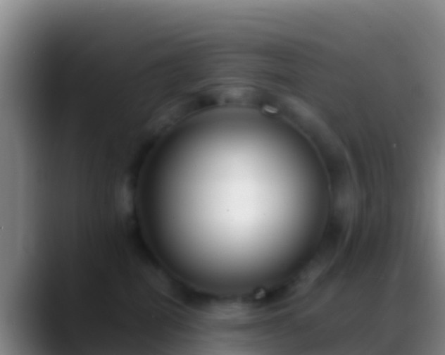 X0000088910282200706151911