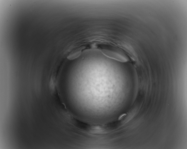 X0000088910285200706151911