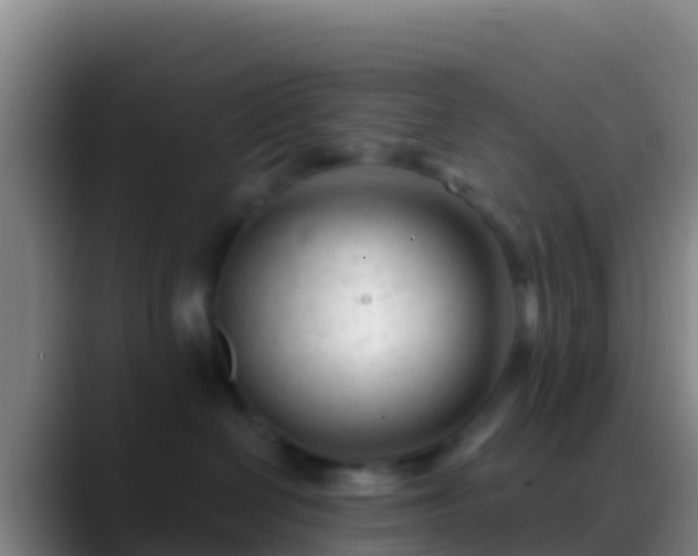 X0000088910286200706151911