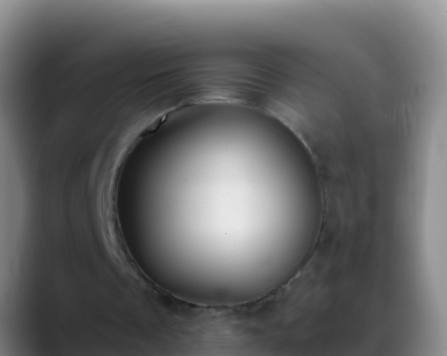 X0000088910289200706151911