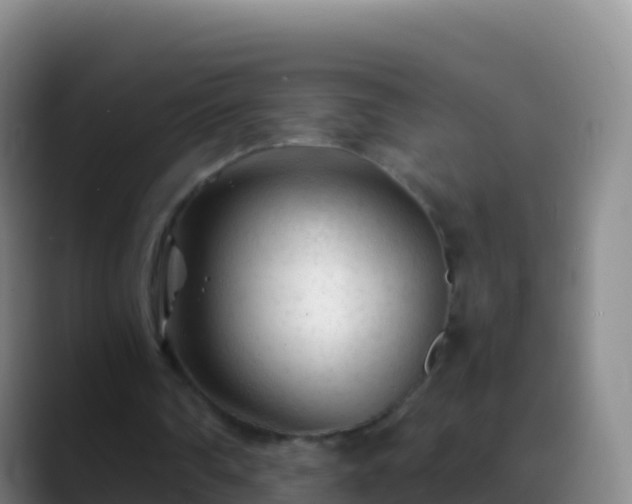 X0000088910290200706151911