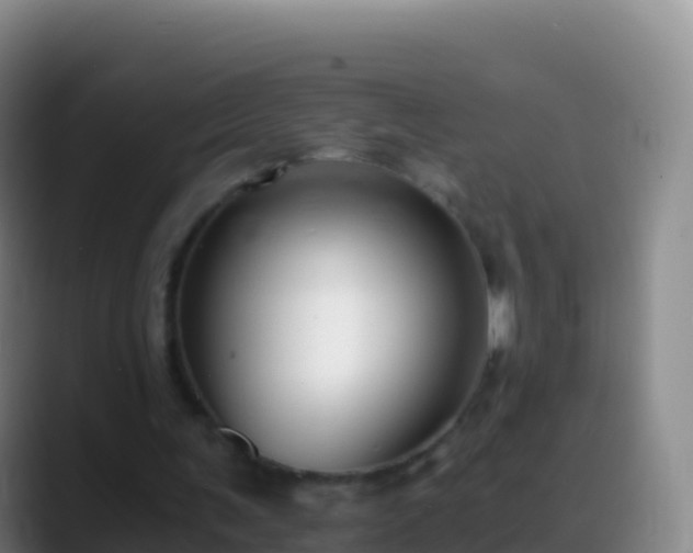 X0000088910291200706151911