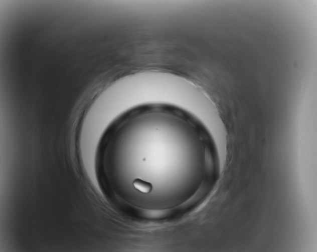 X0000088910293200706151911