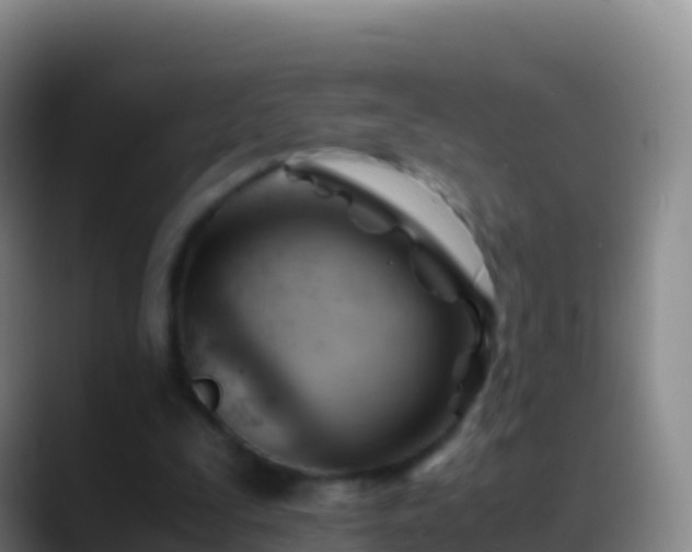 X0000088910295200706151911