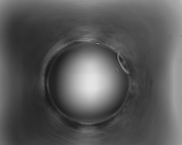 X0000088910296200706151911